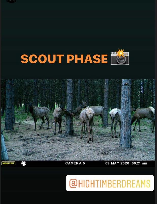 Photo - commentaire&nbsp;5.