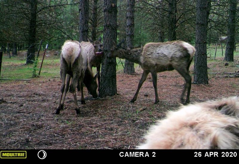 Photo - commentaire&nbsp;2.