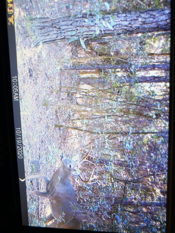 Review photo 1.