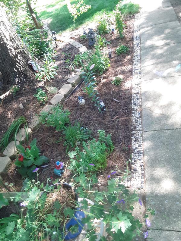 Newest flower garder