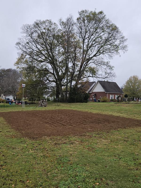 Tilled great