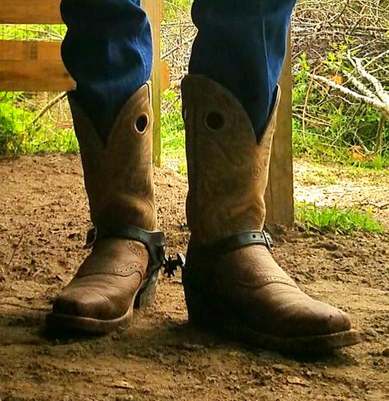 ariat women's heritage roughstock western boots