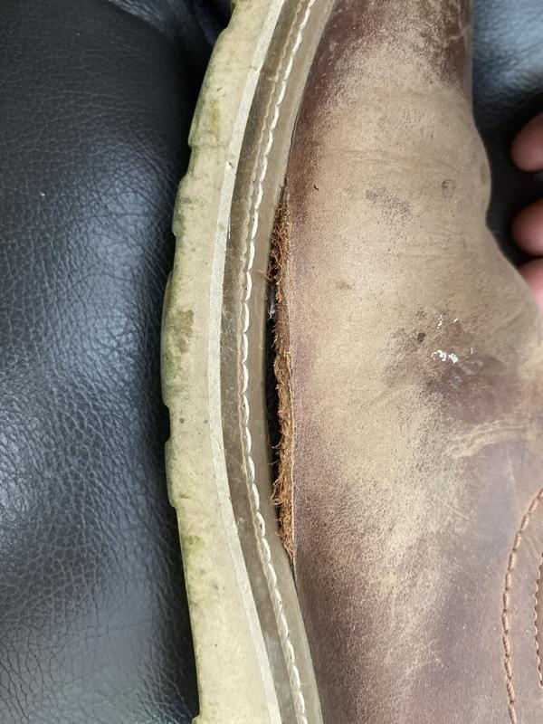 Review Thumbnail Image 0 423245434