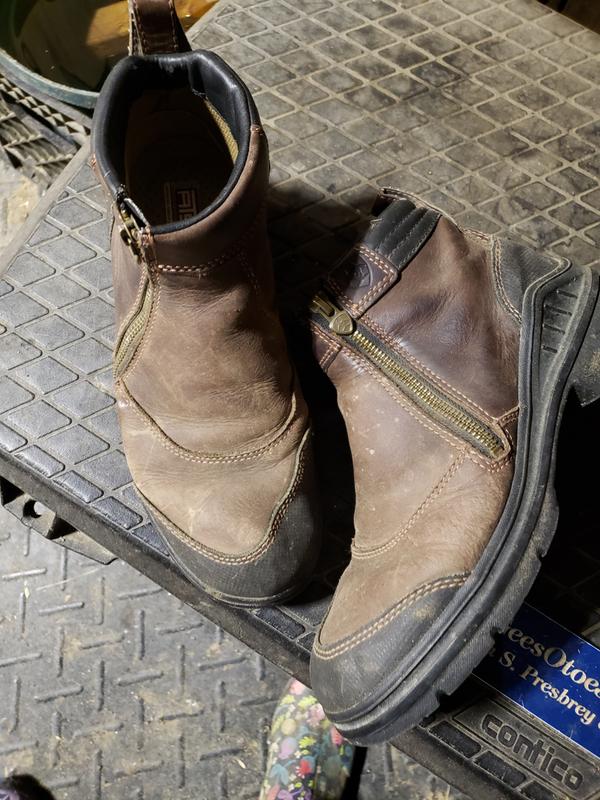 Ariat barnyard clearance side zip boots