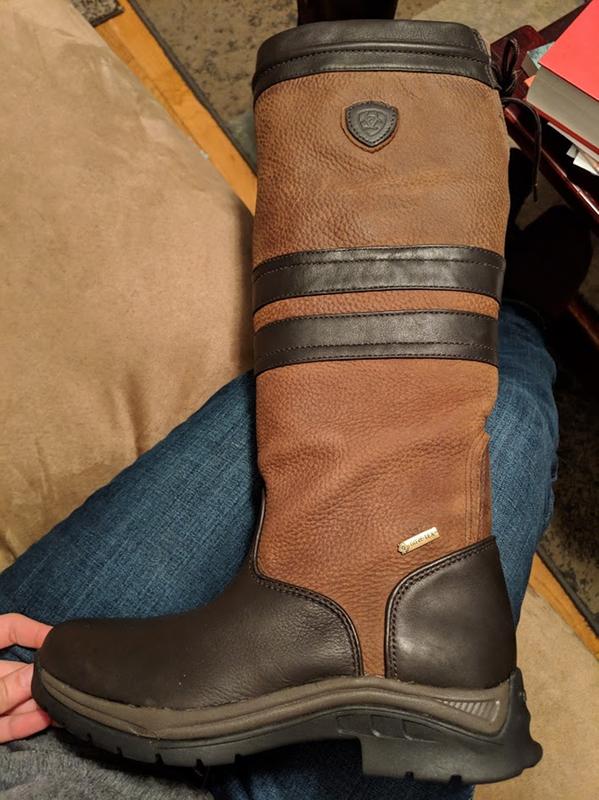 ariat braemar gtx boot