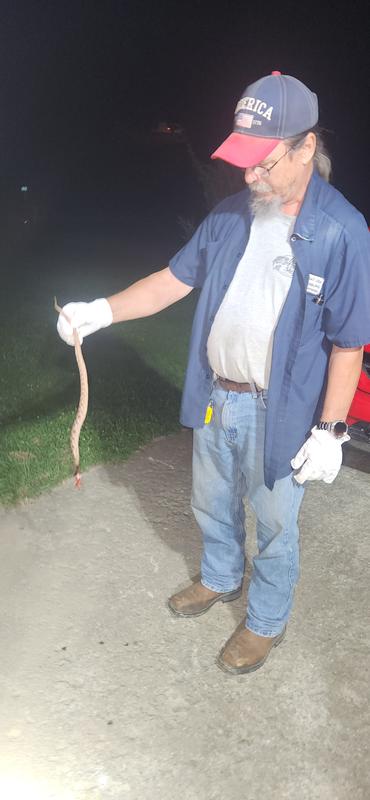 Killed a copperhead snake in my boots!