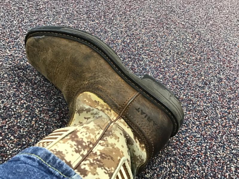 ariat workhog patriot review