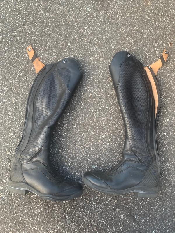 ariat v sport tall boot canada