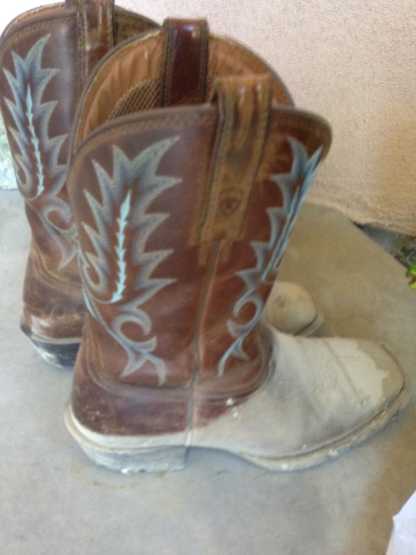 ariat sport outfitter western boot