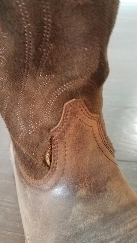 Photo submitted with review of product
