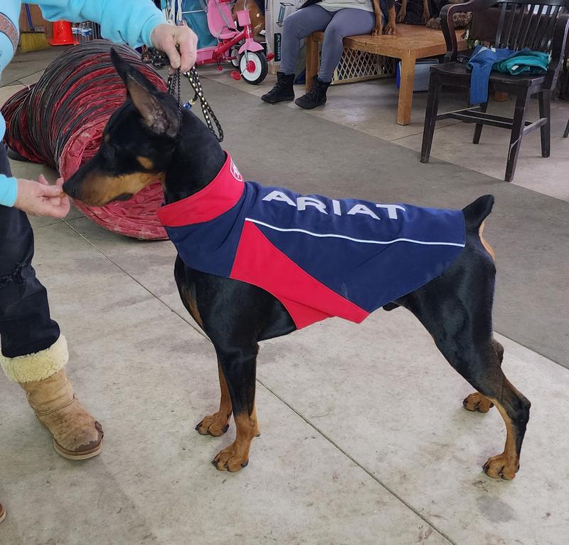 Stone is modeling his new jacket