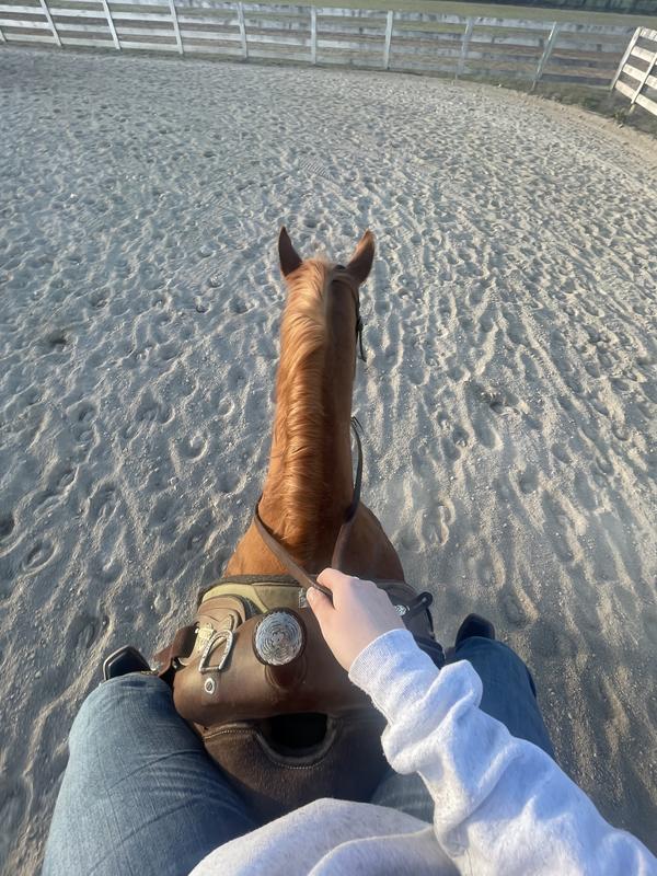 Great for riding, don’t move up your leg
