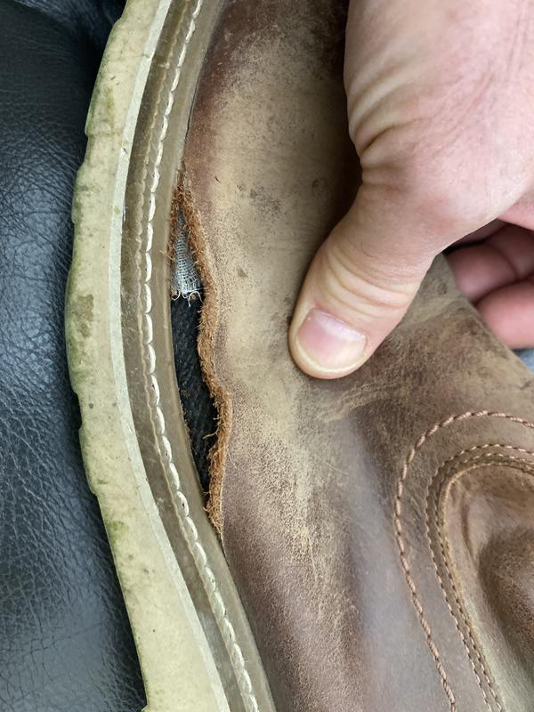 Review Thumbnail Image 1 423245434