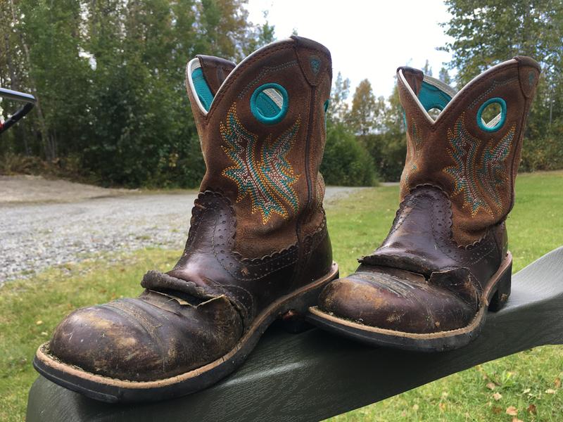 ariat fatbaby western boots