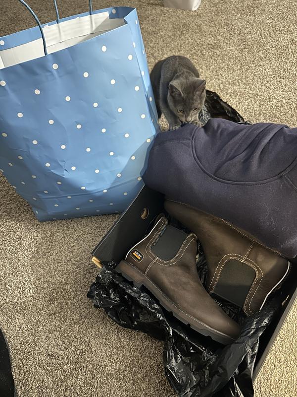 Even our cat liked them 😂