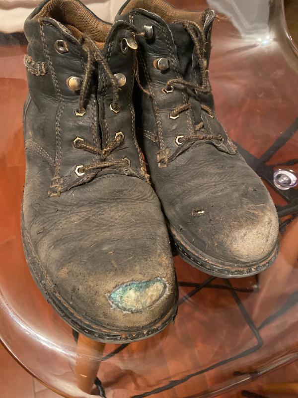 ariat macey composite toe