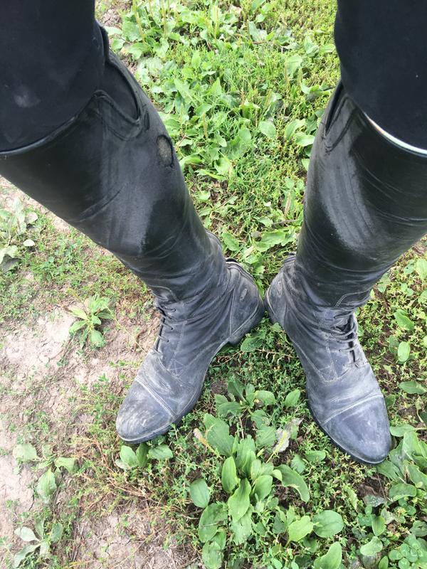 ariat tall boots wide calf