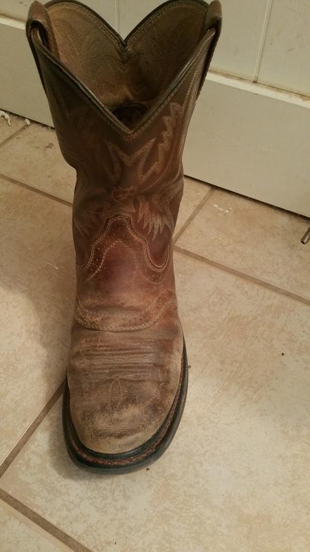 sierra saddle boots