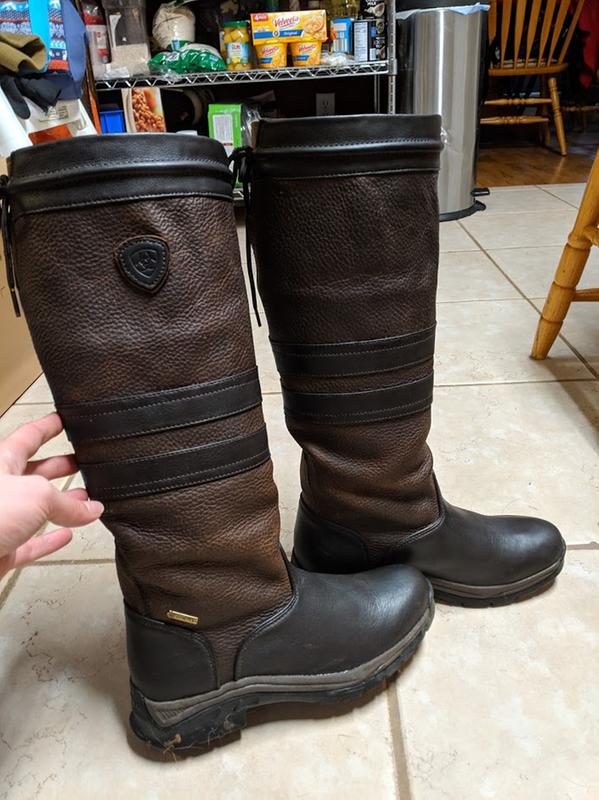 ariat braemar gtx boot