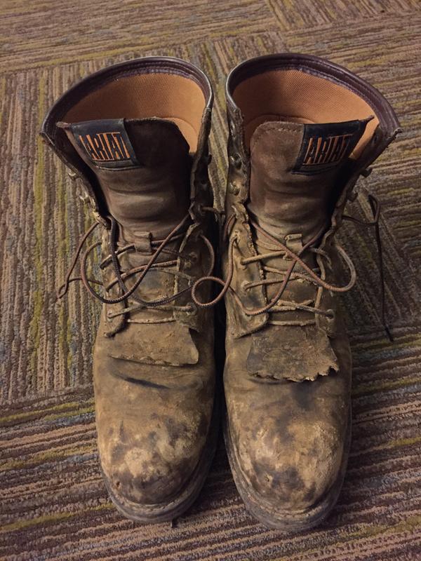 ariat workhog boots lace up