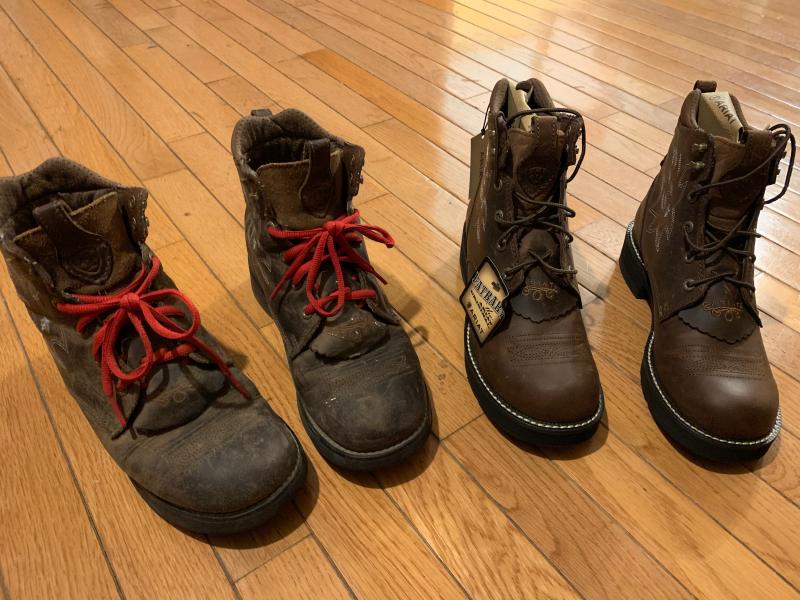 ariat probaby lacer boots