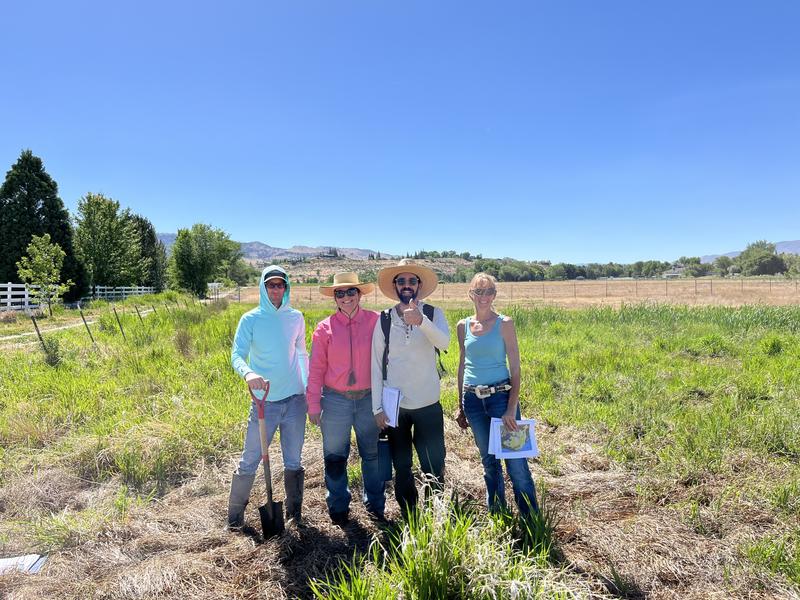 Wetland field work