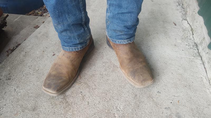Customer photo for "I put dog collars on them."
