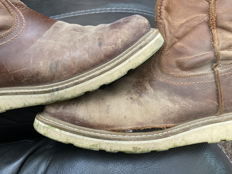 Review Thumbnail Image 3 423245434