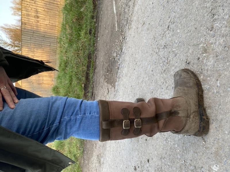 Eskdale Waterproof Boot Ariat