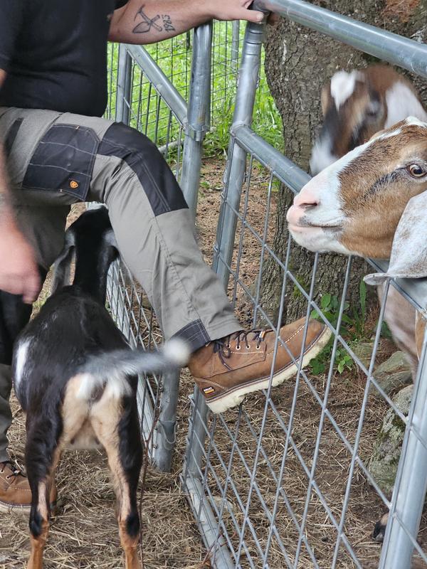 Farm Tough boots!
