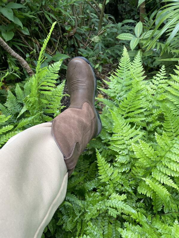 Sure stepping in the fern forest