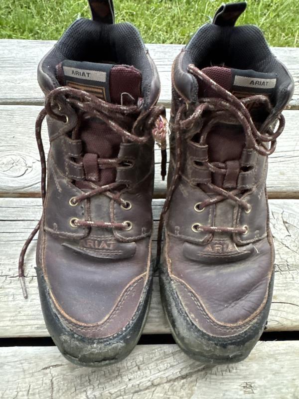 Bough in December 2024