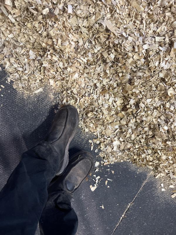 I have more than a year of having them, they are the best problem, I would buy them again