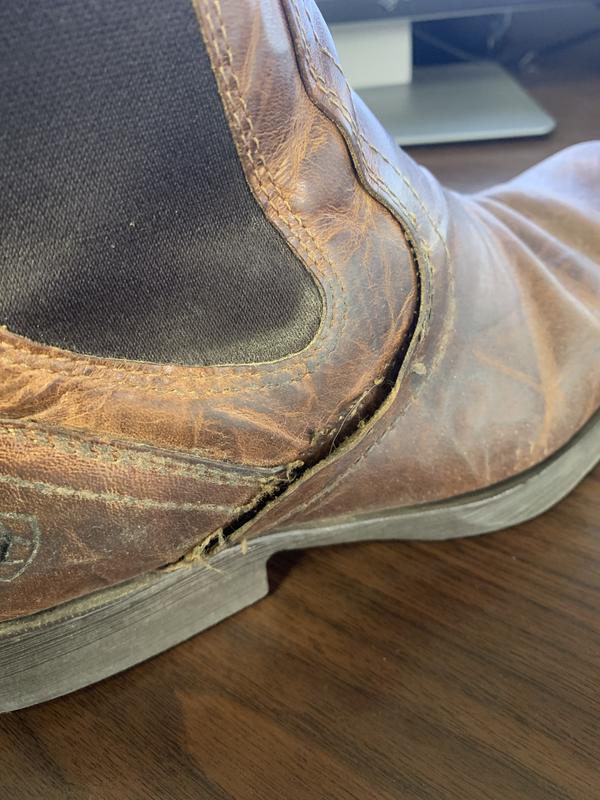 Review Thumbnail Image 0 420694193