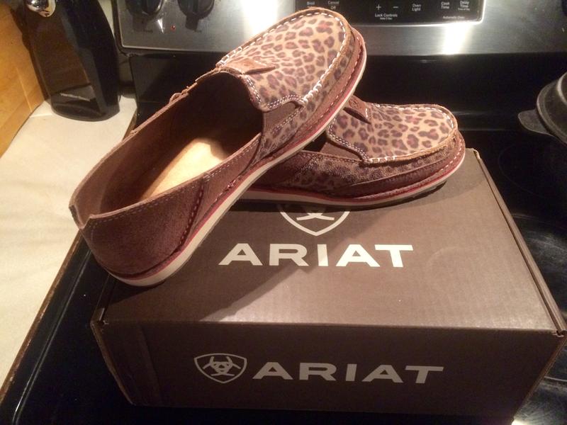 ariat giraffe cruiser