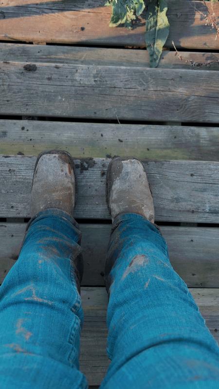 Review Thumbnail Image 1 421664108