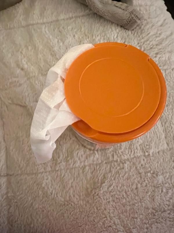 Armor All Orange Cleaning Wipe Plastic Canister - 25 Sheets, (Pack of 6)