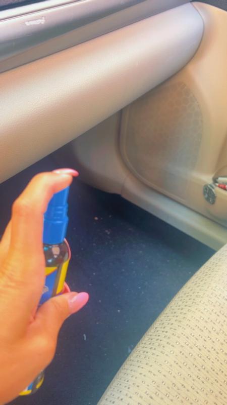 Photo - commentaire 8.