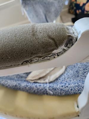 Photo - commentaire 7.