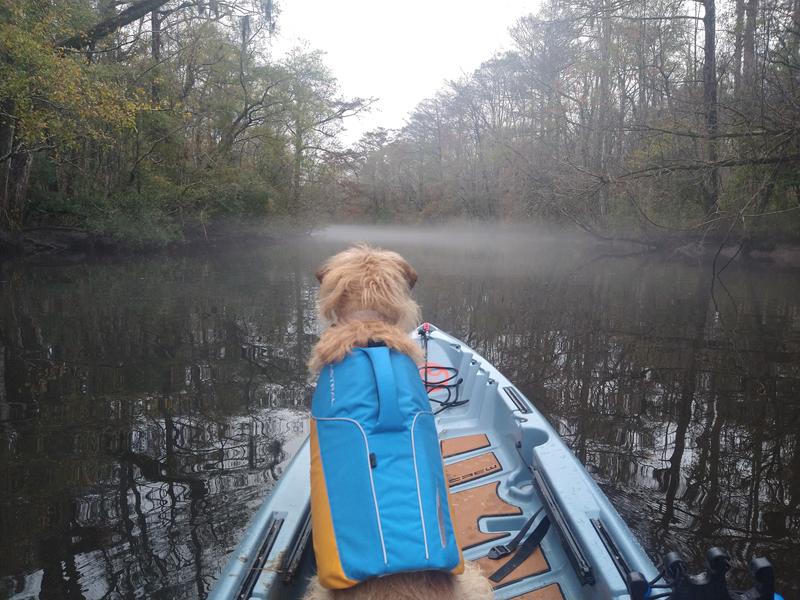 Astral dog life outlet jacket