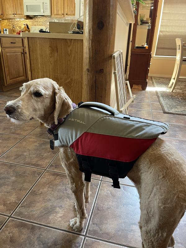 Astral Bird Dog Life Jacket Hike Camp