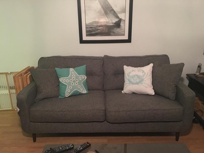 Zardoni Sofa Review Baci Living Room