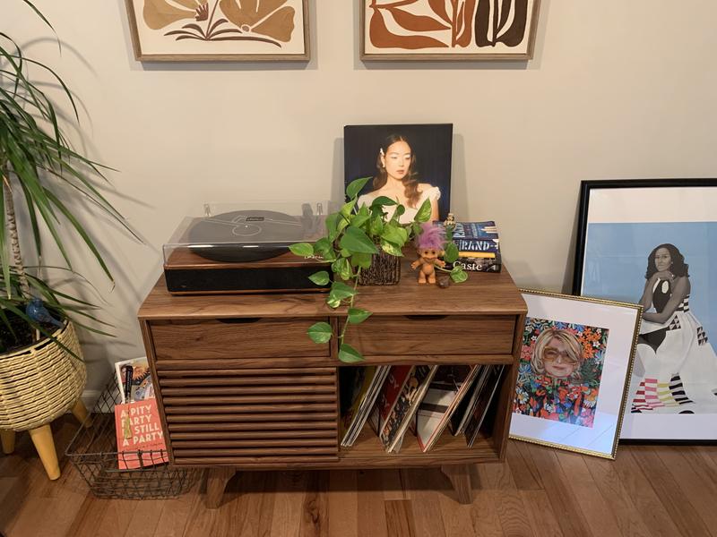 Modway Render Vinyl Record Display Stand in Walnut in the Accent ...