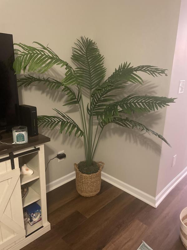 LCG 60-in Green Indoor Areca Artificial Tree 19TFP124 at Lowes.com