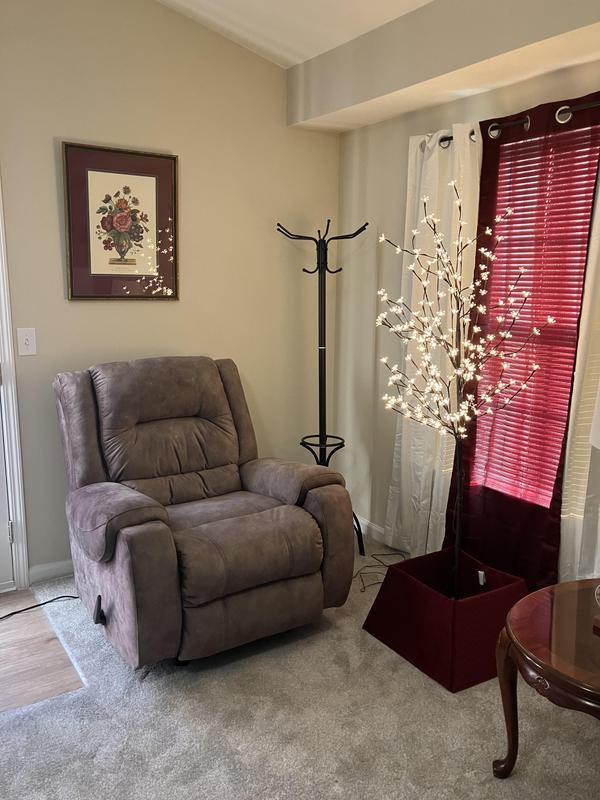 A nice addition to my living room!
