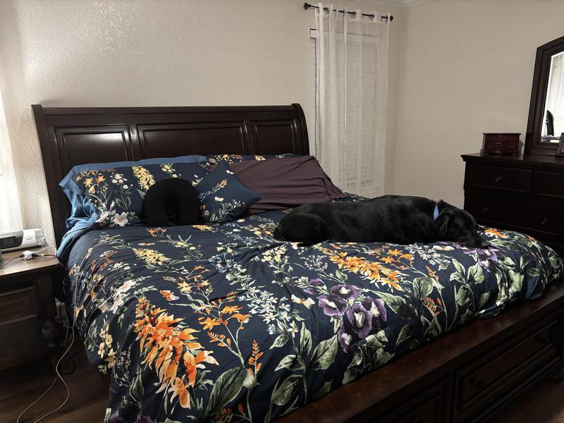 My dog thinks it’s comfortable too.