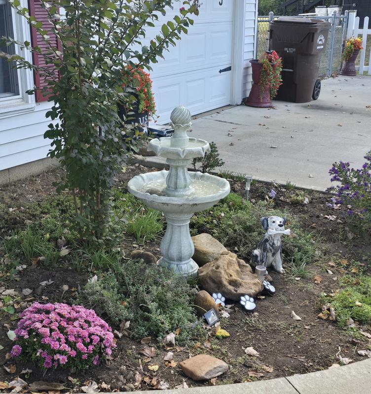 perfect piece in front of my crepe myrtle tree