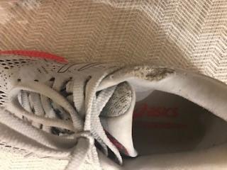 Significant wear and tear on inner ankle collar after just 70 miles.