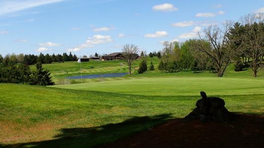 Turtle Lake Golf