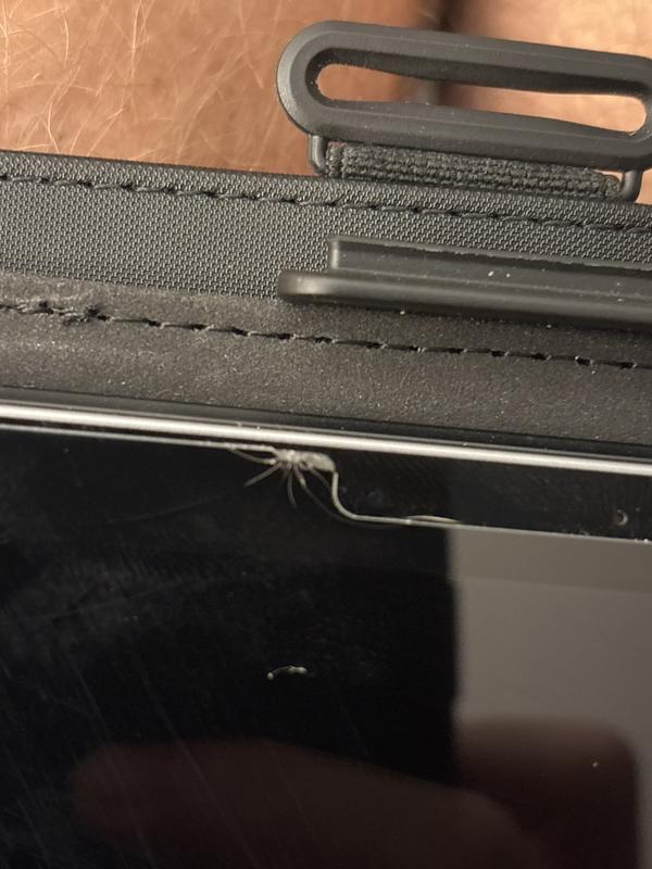 Review photo 1.